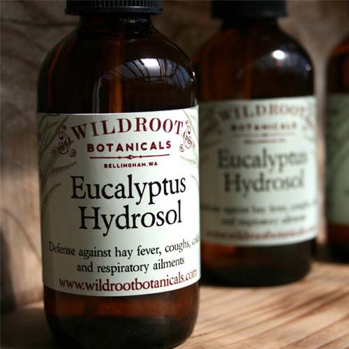 Eucalyptus Hydrosol